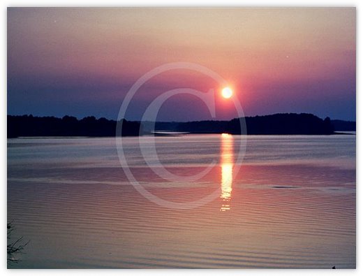 Images/photogallery13.jpg