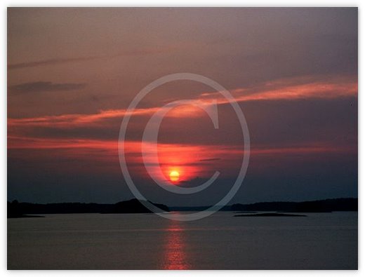 Images/photogallery14.jpg