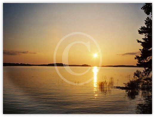 Images/photogallery17.jpg