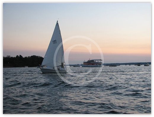 Images/photogallery18.jpg