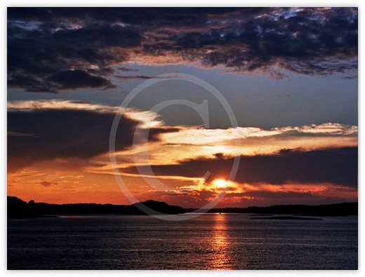 Images/photogallery2.jpg