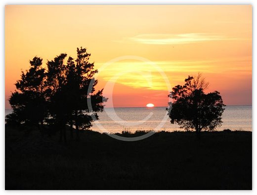 Images/photogallery24.jpg