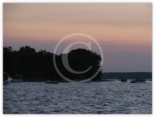 Images/photogallery27.jpg