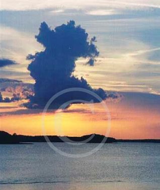 Images/photogallery3.jpg