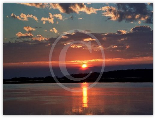 Images/photogallery4.jpg