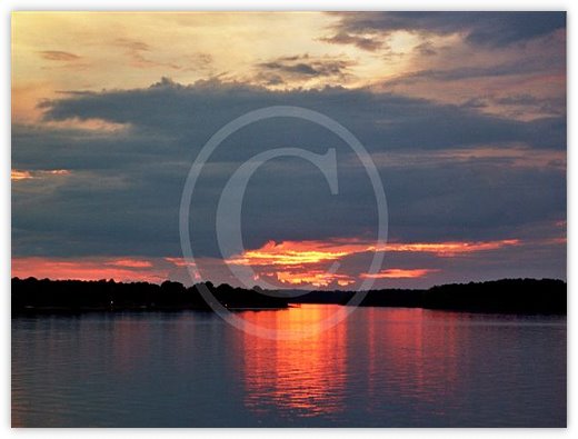 Images/photogallery6.jpg