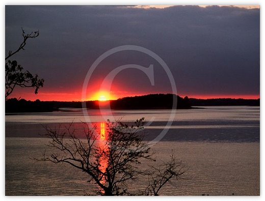 Images/photogallery7.jpg