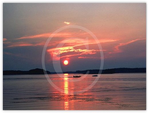 Images/photogallery9.jpg